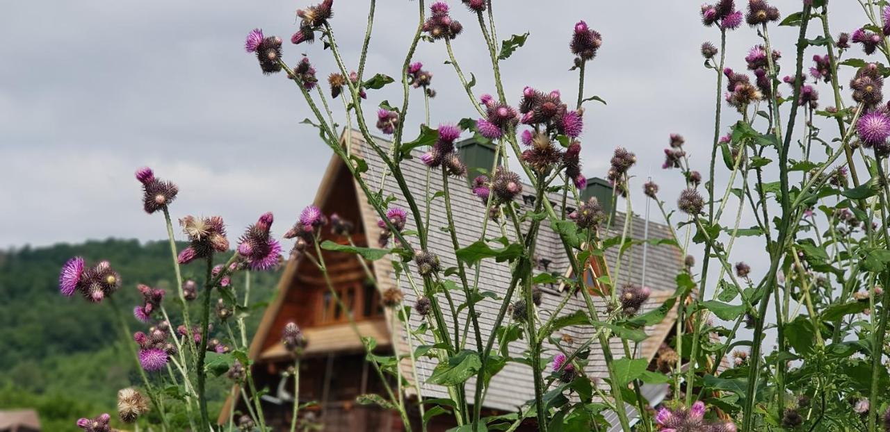 Bacowka Pttk Jaworzec Hostel Wetlina Bagian luar foto