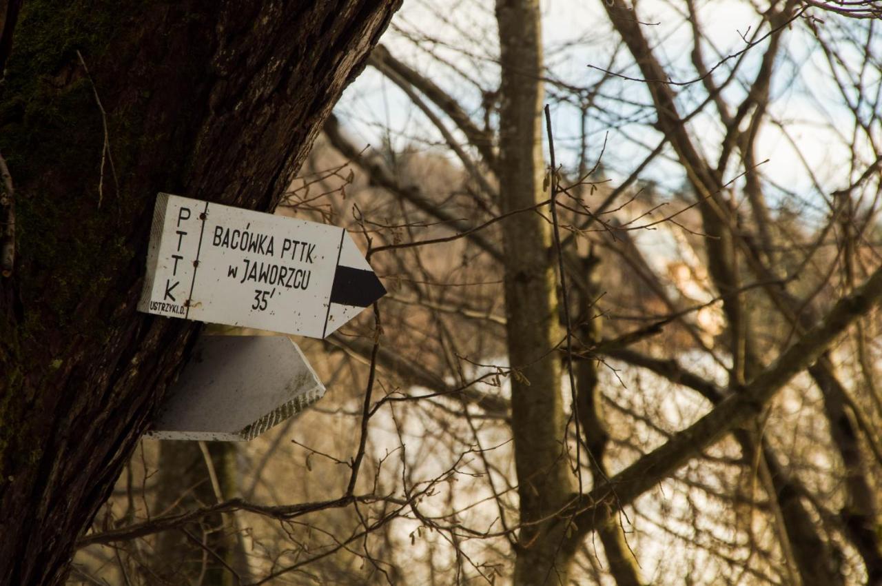Bacowka Pttk Jaworzec Hostel Wetlina Bagian luar foto