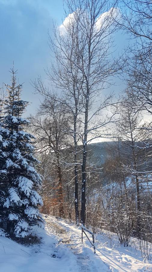 Bacowka Pttk Jaworzec Hostel Wetlina Bagian luar foto